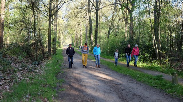 Dauwtrappen (donderdag  5 mei 2016)